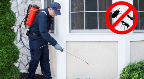 Şemdinli Gümüşkurt İlaçlama böcek ilaçlama ve haşere kontrolü — ilaclama-tr.com
